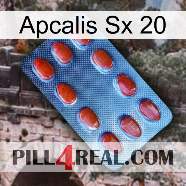 Apcalis Sx 20 06.jpg